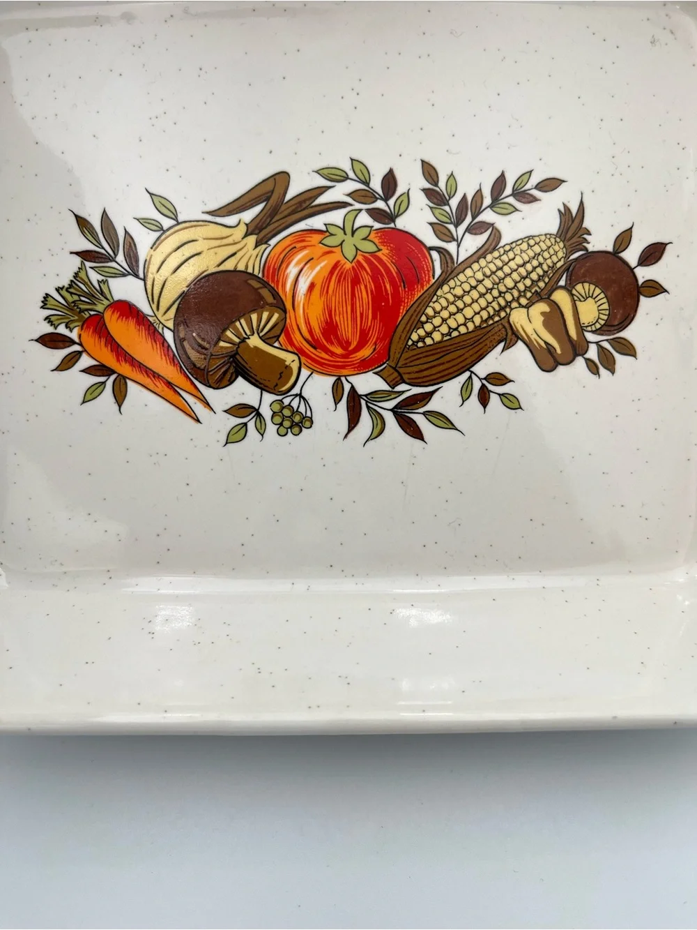 Vintage 70’s Northland Casserole Gratin Dish Pumpkin Mushroom Vegies Retro